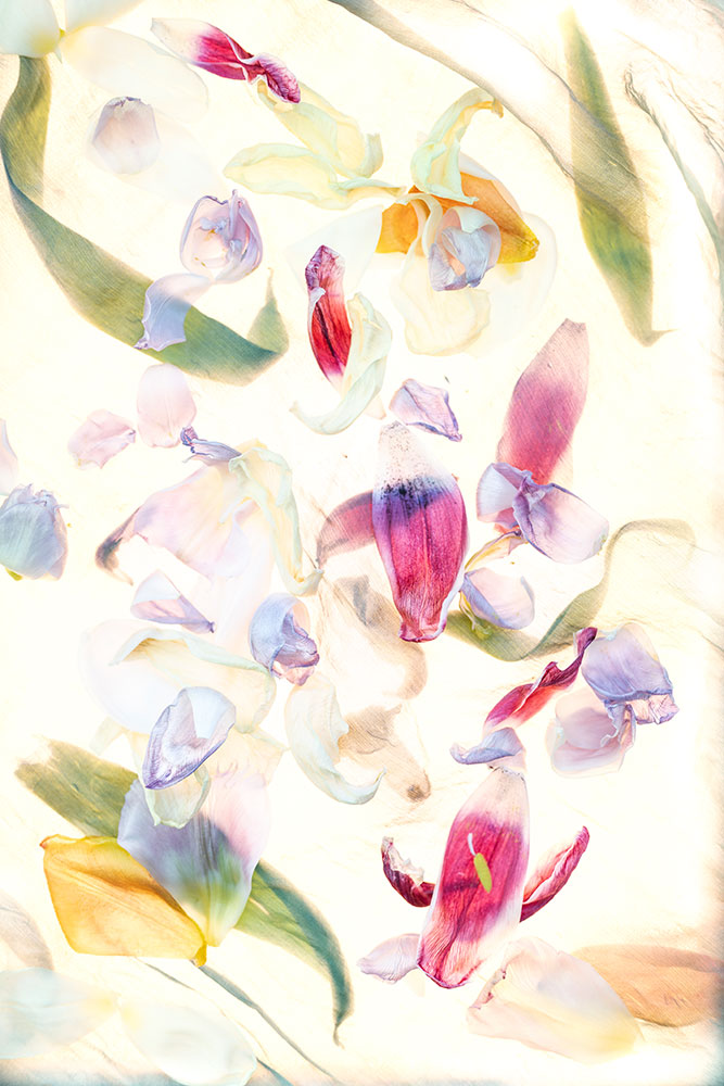Anneli Wikman — fotokonst